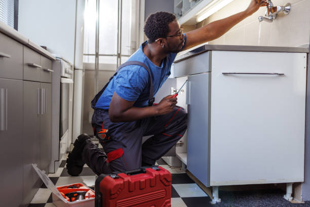 Best Plumbing Services Near Me  in Meridian, PA